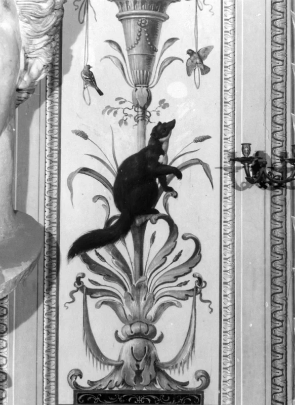Donnola e uccelli - Villa Borghese Pinciana, Roma